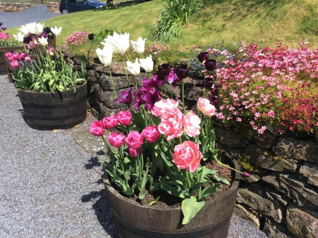 Guest house Kilmeny
